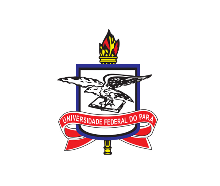 Federal University of Para