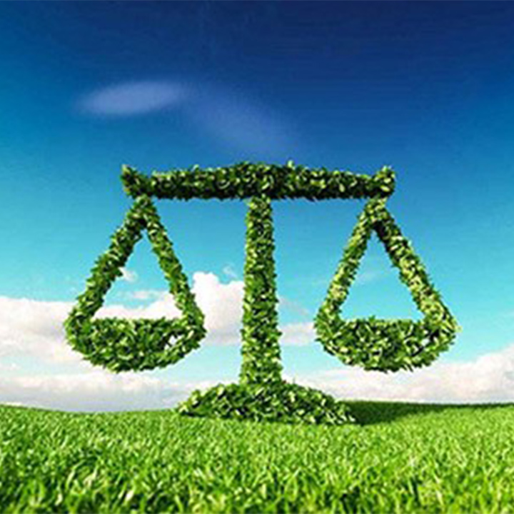 Conference: How to Compensate Damages to Nature?