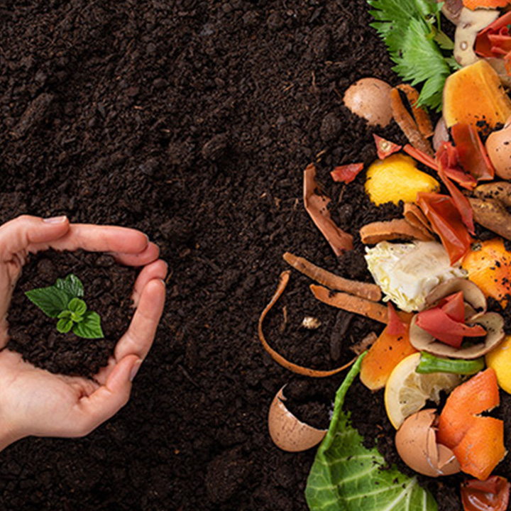 Food Waste Management Practices