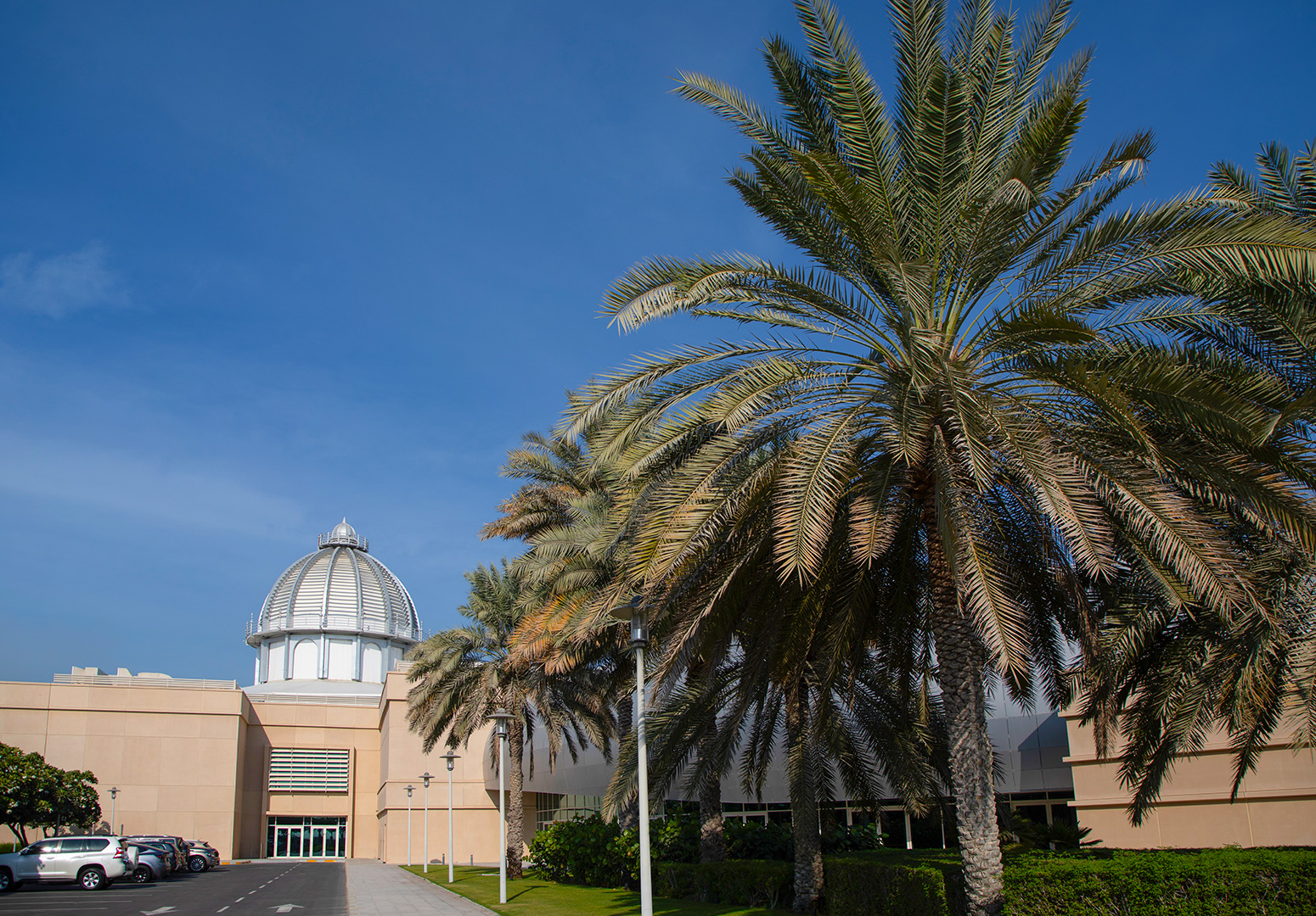 Center for Environment and Sustainable development