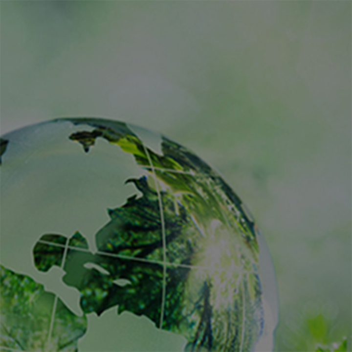Conference: A Sustainable Tomorrow Through the Eyes of The Green Sheikh
